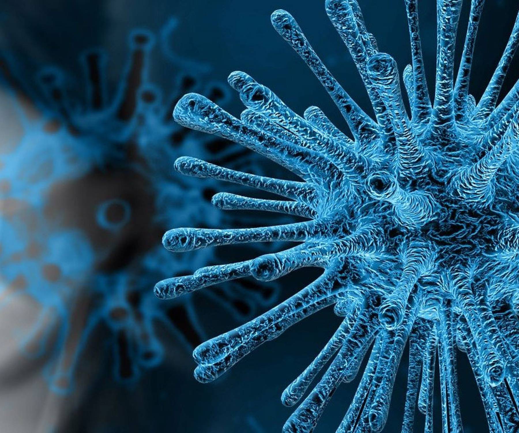 Germ-inhibiting protection against coronavirus, bacteria and fungi